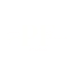 Patricia Fernandez logo